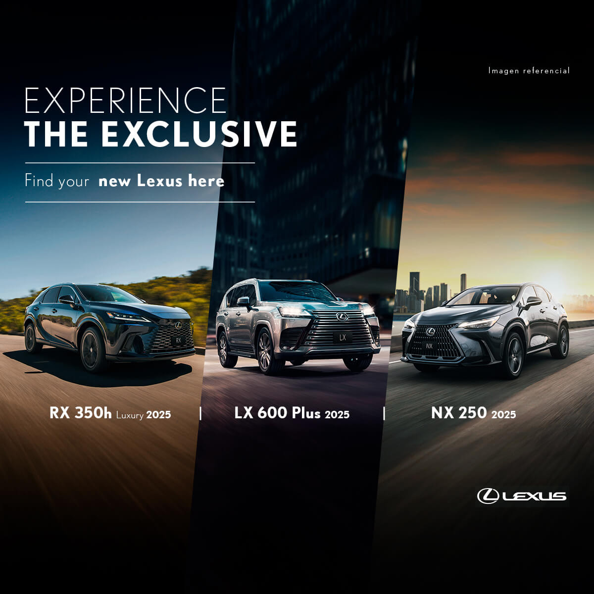 Banner_Experience_Lexus_Campaña-Septiembre_Mobile