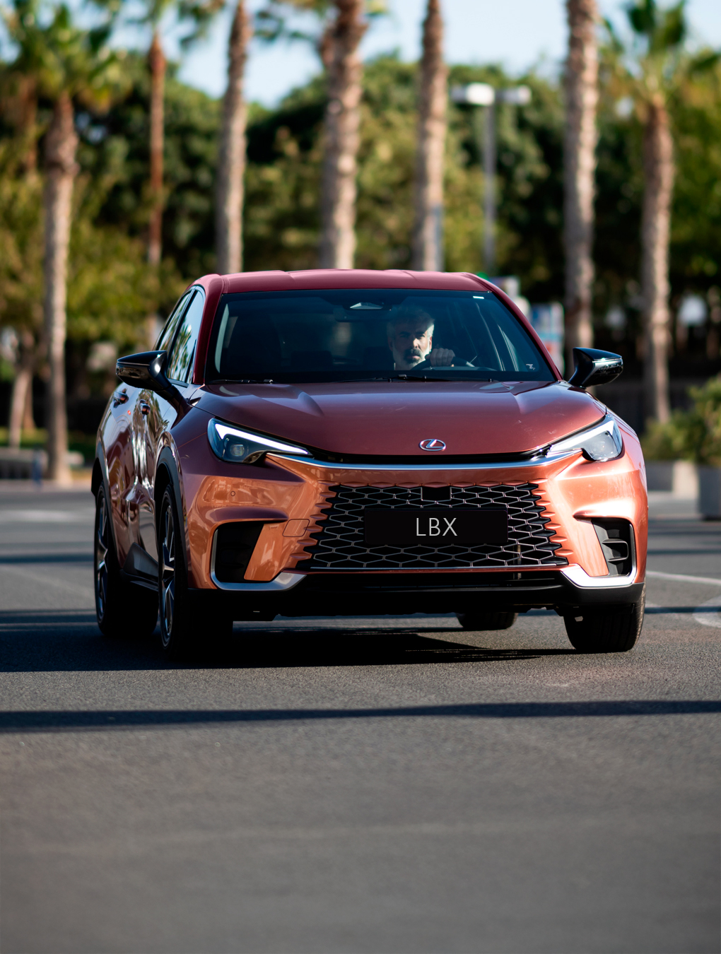 Imagen ancho completo