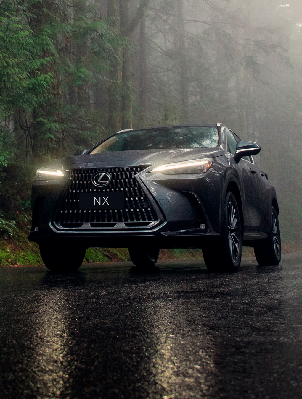 Imagen ancho completo