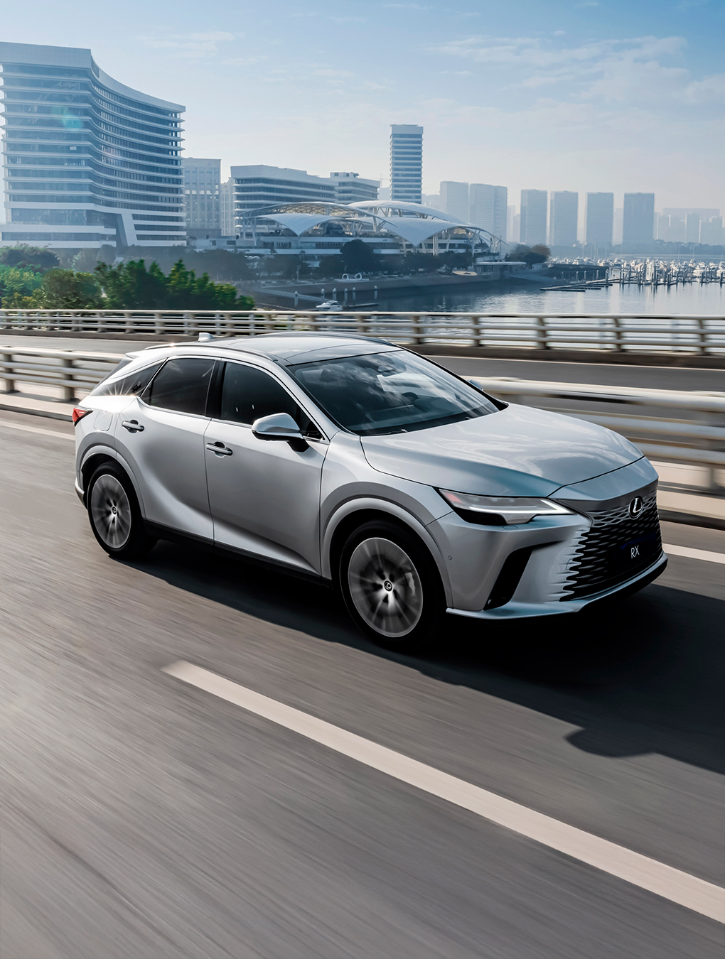 Imagen ancho completo